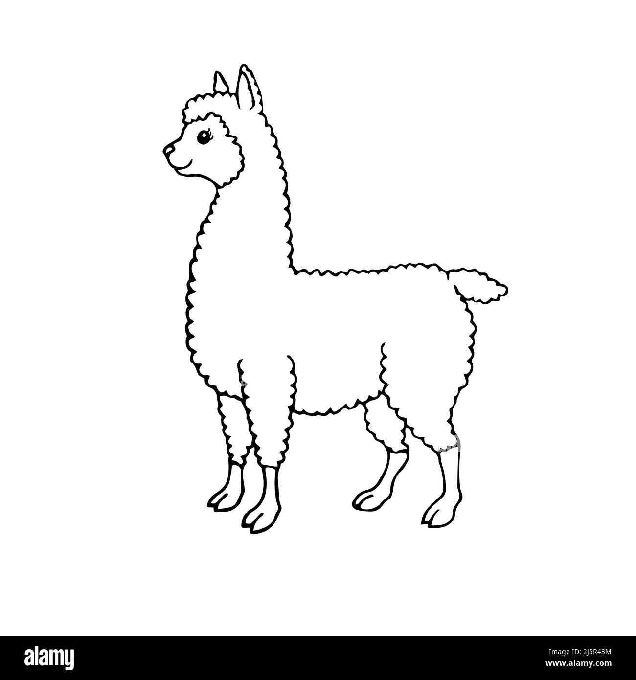 Vettore disegnata a mano scarpetta lama alpaca isolato su sfondo bianco Illustrazione Vettoriale