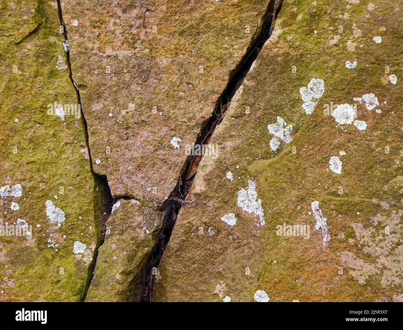 Primo piano di pietra arenaria con intemperie, muschi, licheni e crepe nella roccia Foto Stock