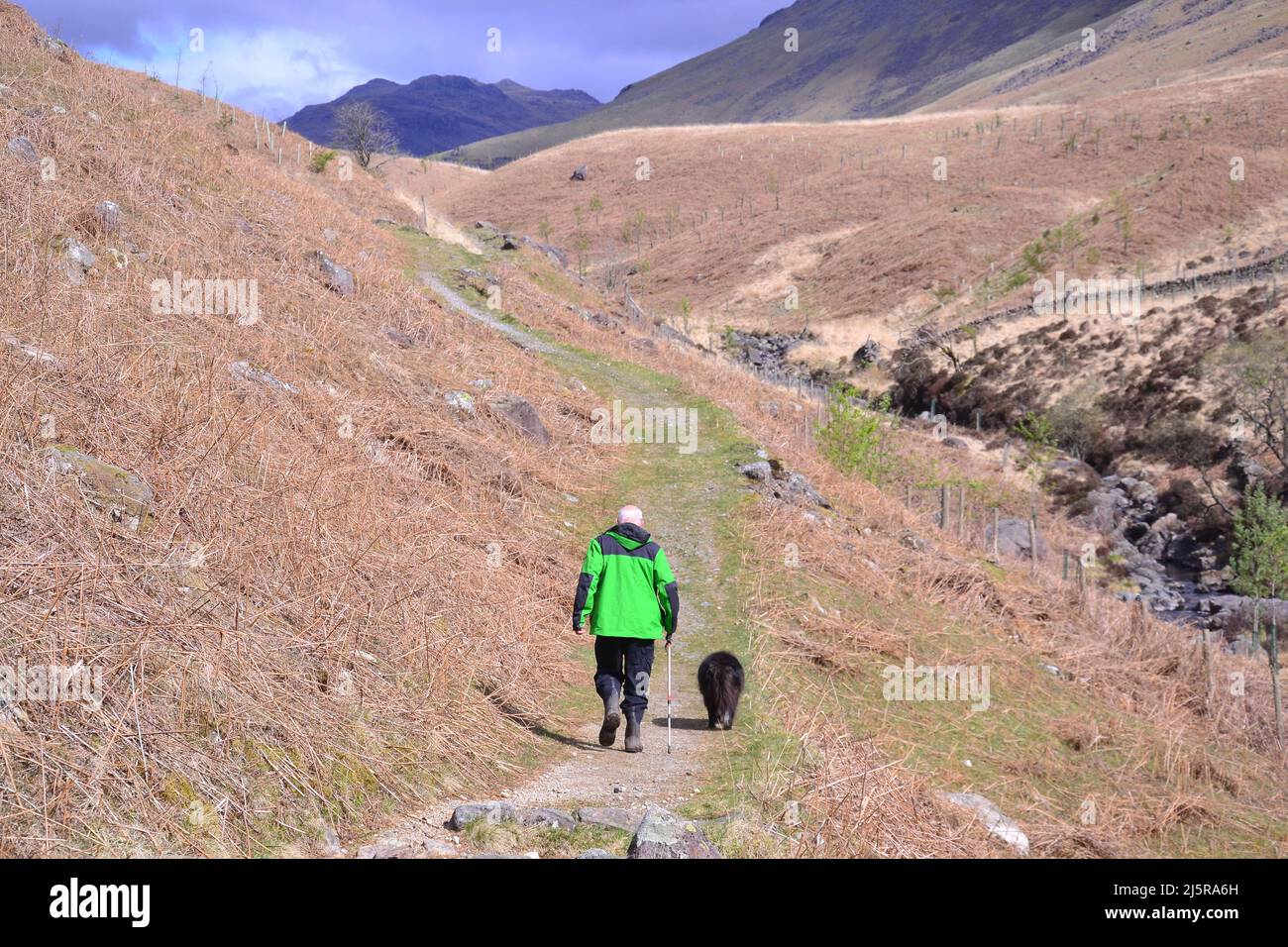 Un uomo più anziano che cammina lungo un sentiero con il suo cane su una collina nel Lake District National Park, Cumbria, Inghilterra, Regno Unito. Un sondaggio condotto da Nuffield Health nel Regno Unito da 8.000 persone ha anche dimostrato che la maggior parte degli adulti britannici non si esercitano a sufficienza. In risposta al sondaggio, Nuffield Health ha creato una campagna chiamata "Find Time for your Mind", con l'obiettivo di incoraggiare le persone a trascorrere altri 5 minuti al giorno esercitandosi o concentrandosi sul loro benessere mentale. Foto Stock