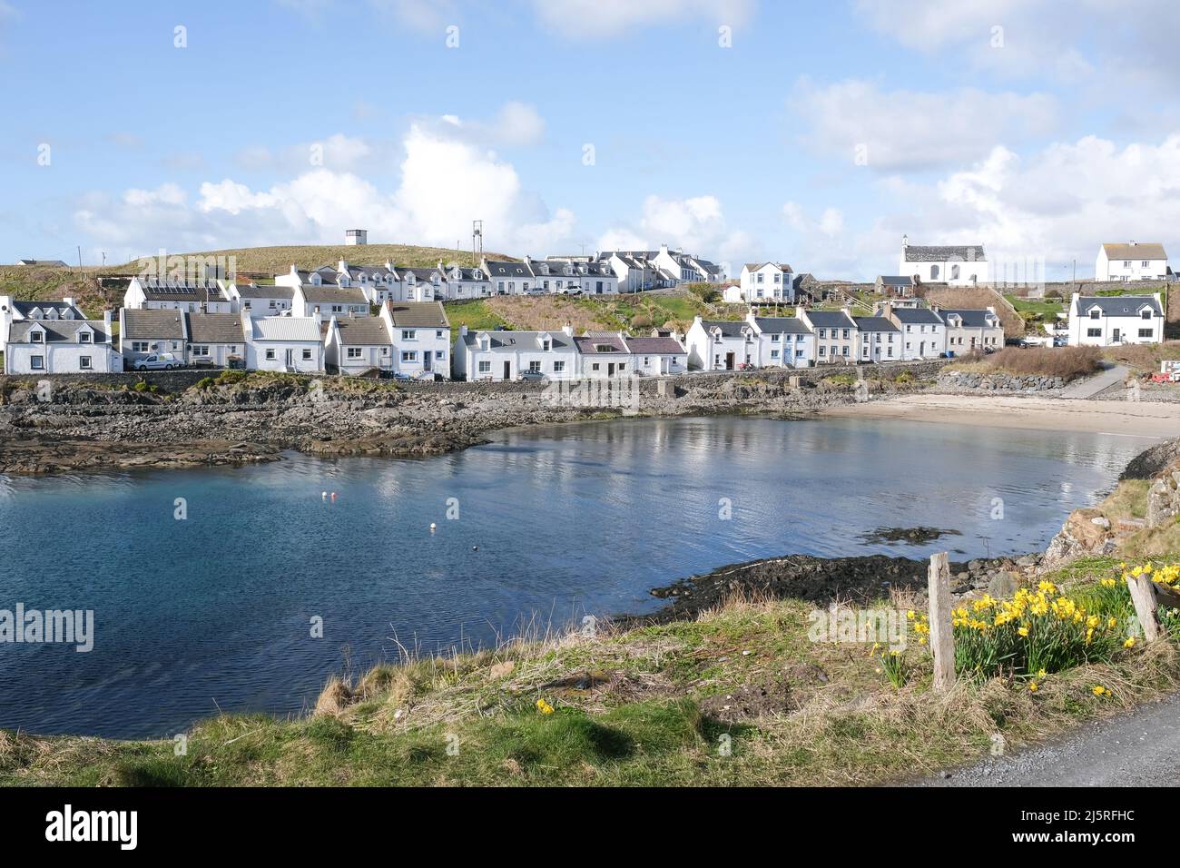 La bella baia chiusa a Portnahaven sulla punta sud-ovest dell'isola Ebridea di Islay. Un grumo di naffodils è in primo piano, bianco Foto Stock La bella baia chiusa a Portnahaven sulla punta sud-ovest dell'isola Ebridea di Islay. Un grumo di naffodils è in primo piano, bianco Foto Stock
