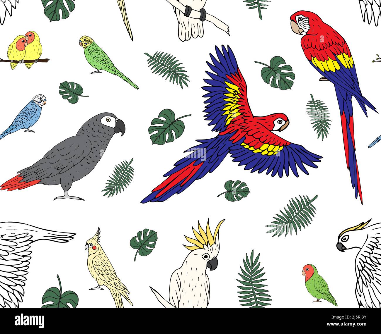 Disegno vettoriale senza giunture di frullato disegnato a mano pappagalli colorati isolati su sfondo bianco Illustrazione Vettoriale