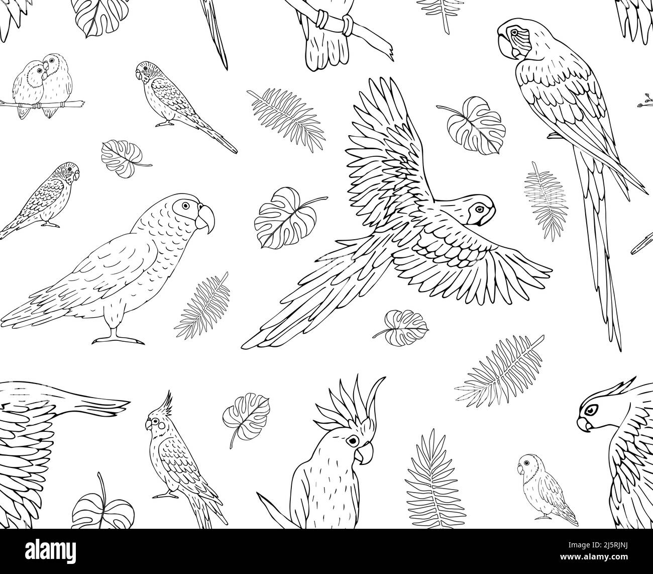 Modello vettoriale senza giunture di pappagalli di schizzo disegnati a mano isolati su sfondo bianco Illustrazione Vettoriale
