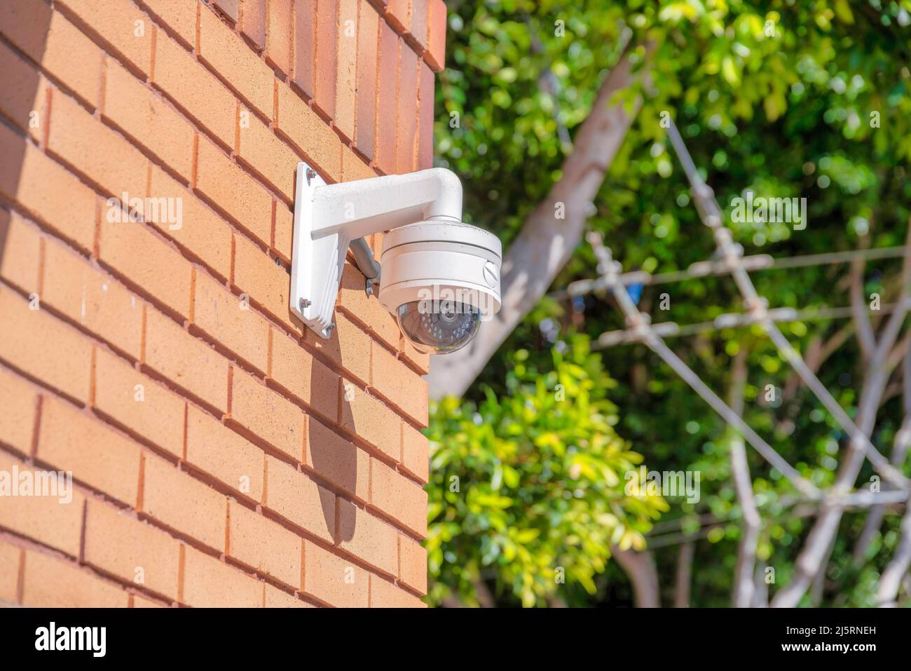 Telecamera di sorveglianza montata a parete all'aperto a San Francisco, California. Telecamera CCTV su un muro di mattoni arancioni con una vista di alberi sfocati sul retro. Foto Stock
