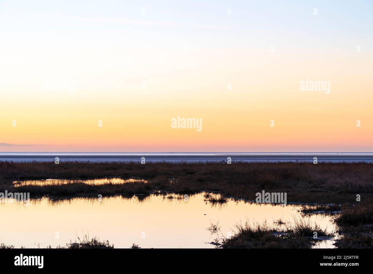 Il cielo sereno dell'alba invernale sopra un canale inglese molto calmo con la palude di acqua salata di Pegwell Bay, un'area di protezione speciale, in primo piano. Foto Stock