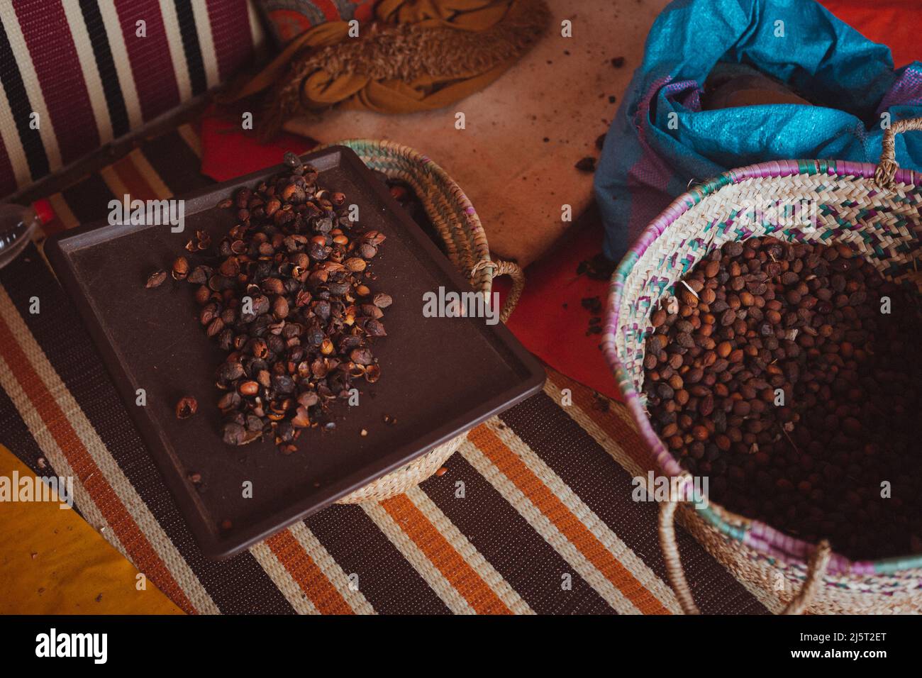 Cestino pieno di argan, in marocco Foto Stock