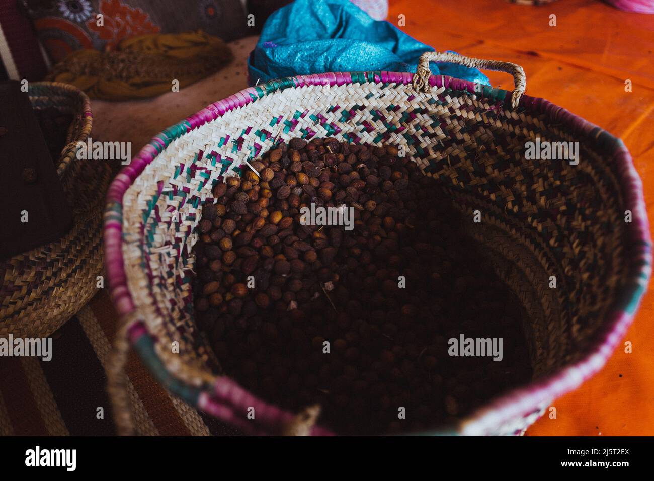 Cestino pieno di argan, in marocco Foto Stock