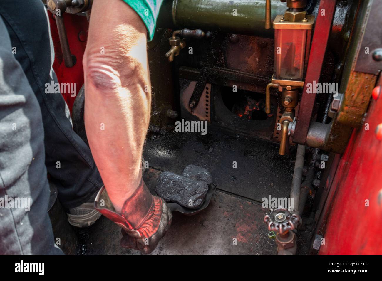 Carbone che viene spalato nella scatola dei fuochi d'artificio di un motore a trazione a vapore. Carbone a vapore secco gallese su pala in mano al conducente di un motore di trazione Burrell Foto Stock