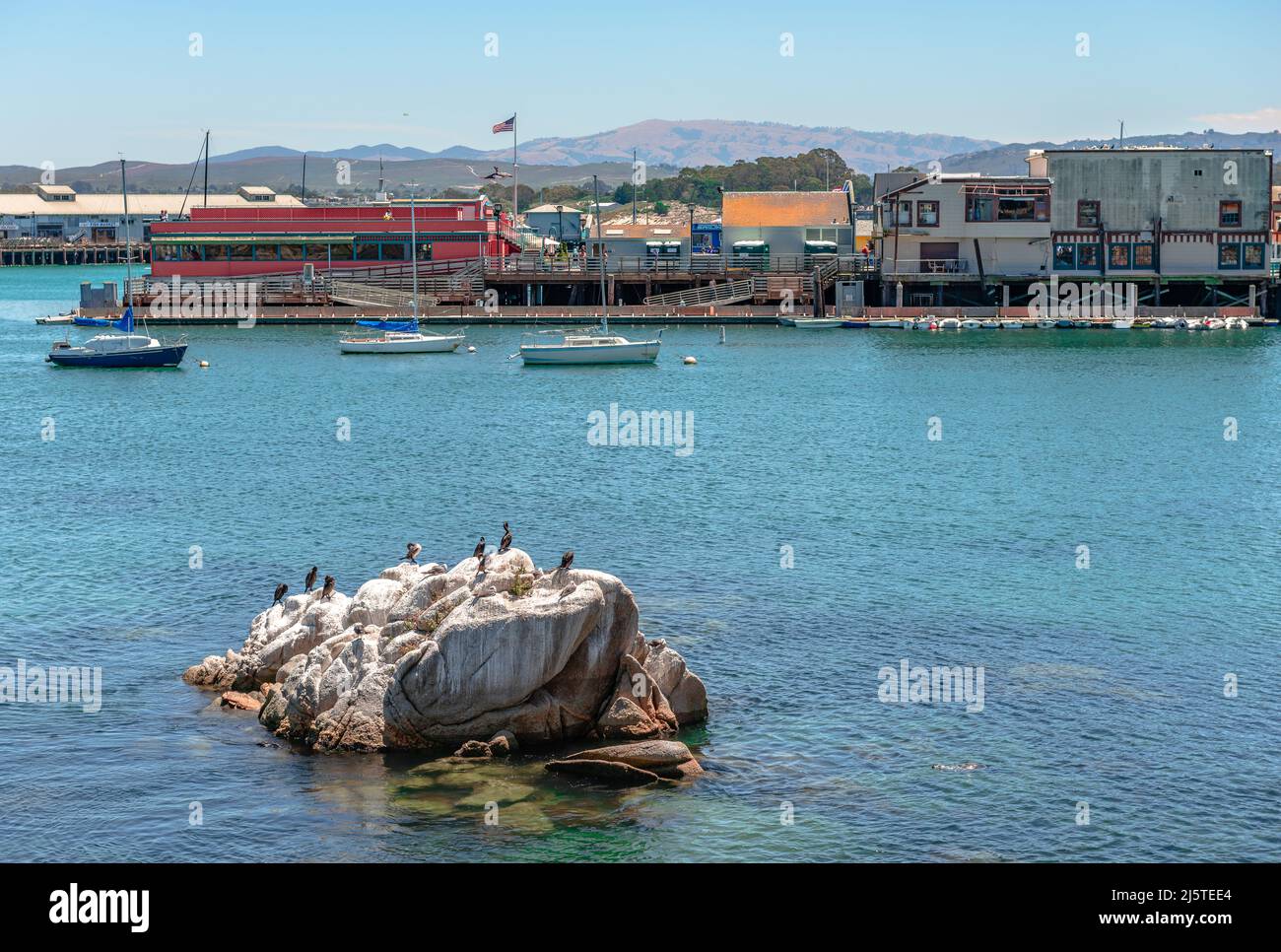 Monterey, CA, USA - Luglio 18 2015: I gabbiani riposano su una roccia con il vecchio Fisherman's Wharf sullo sfondo. Foto Stock