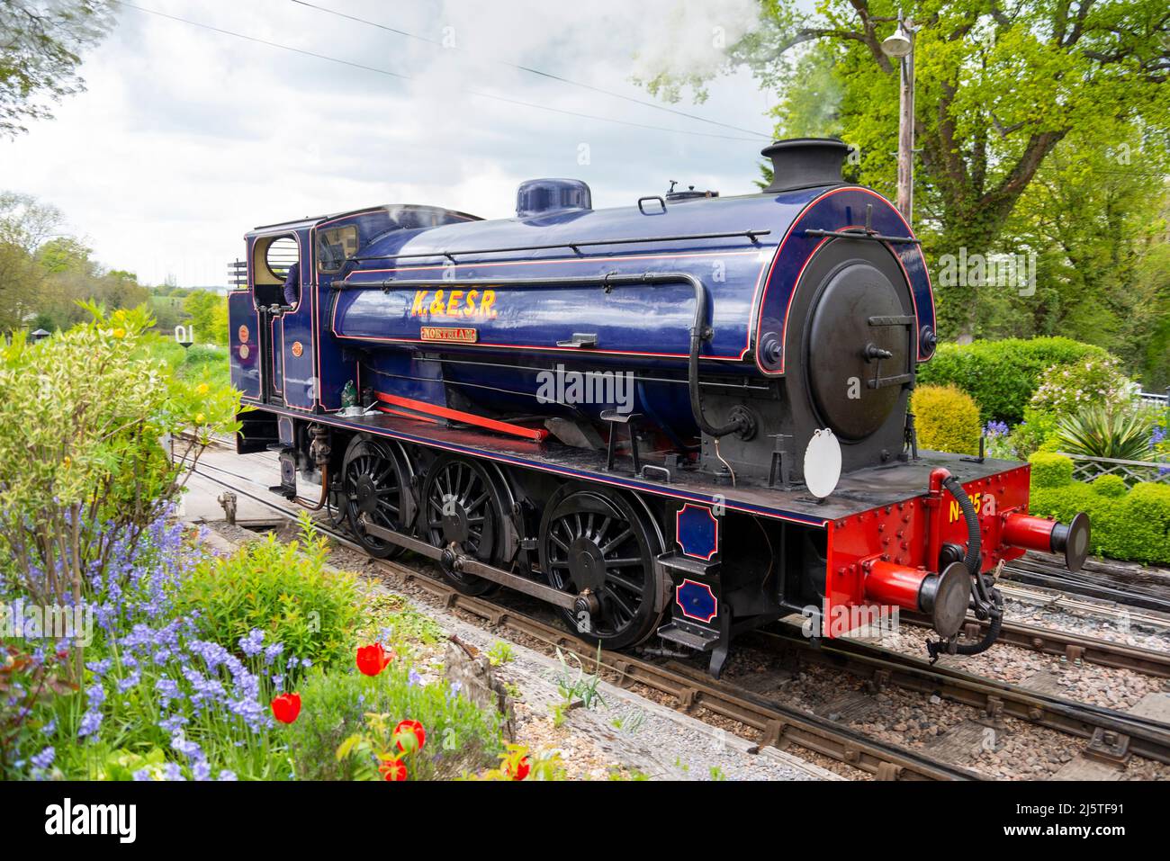 Hunslet austerity 0-6-0ST chiamato Northiam della ferrovia del Sussex del Kent & dell'est alla stazione di Tenterden Town. Scenografia pittoresca con fiori di primavera luminosi Foto Stock