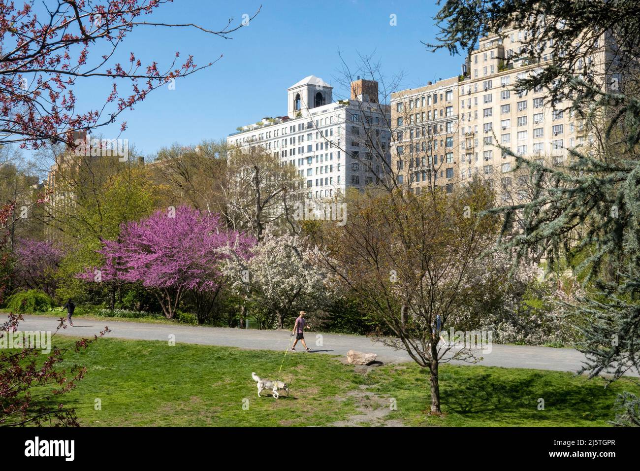 Central Park è un luogo popolare per le attività di svago durante la primavera, New York City, USA 2022 Foto Stock