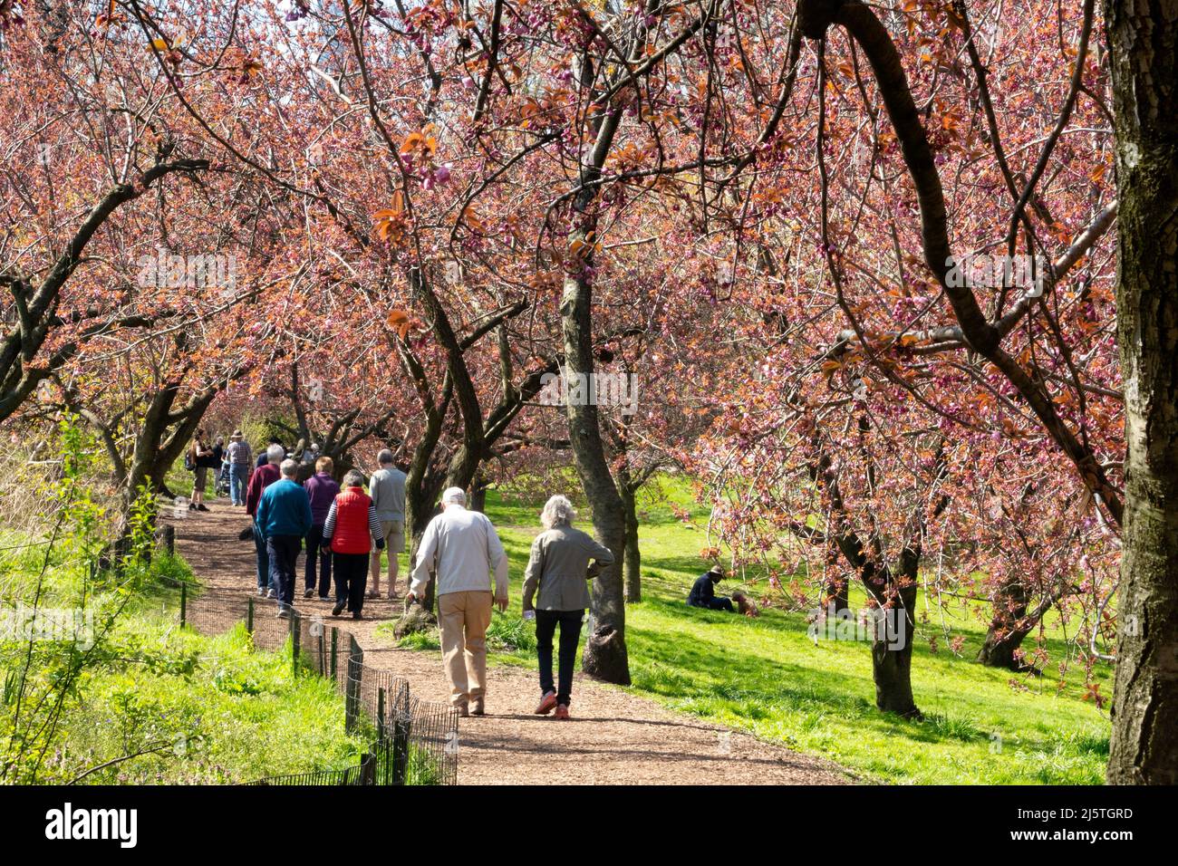 Central Park è un luogo popolare per le attività di svago durante la primavera, New York City, USA 2022 Foto Stock