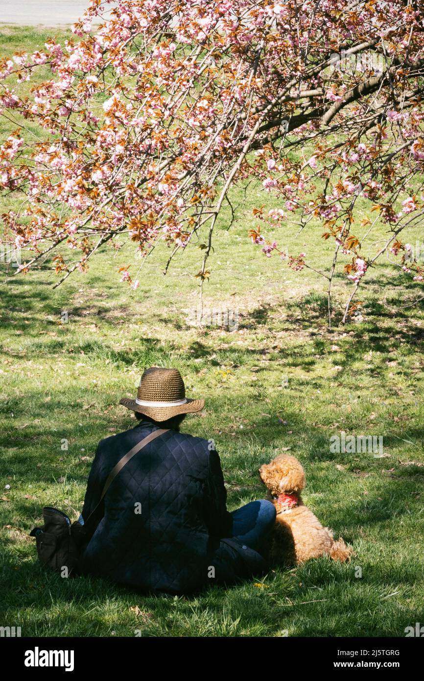 Central Park è un luogo popolare per le attività di svago durante la primavera, New York City, USA 2022 Foto Stock