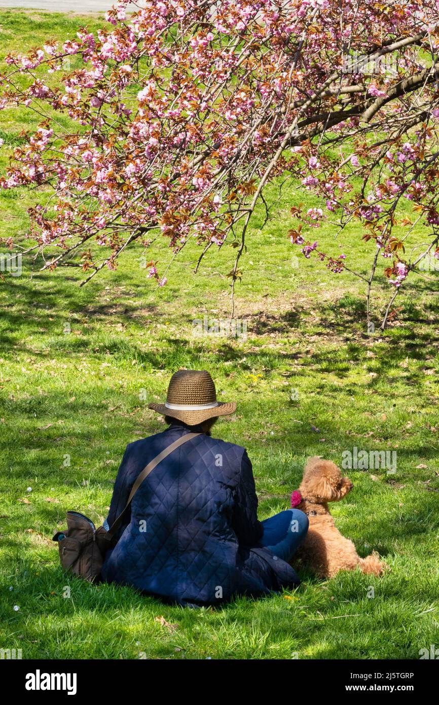 Central Park è un luogo popolare per le attività di svago durante la primavera, New York City, USA 2022 Foto Stock