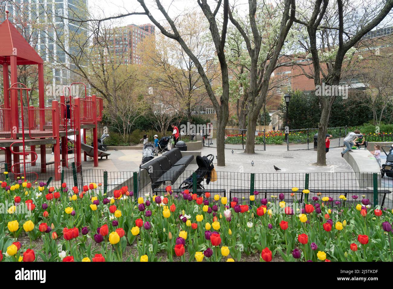 Alla fine di aprile, un parco giochi sul. Sito di quello che in precedenza era il mercato di Washington a Tribeca è radiante con tulipani brillantemente colorati. Foto Stock