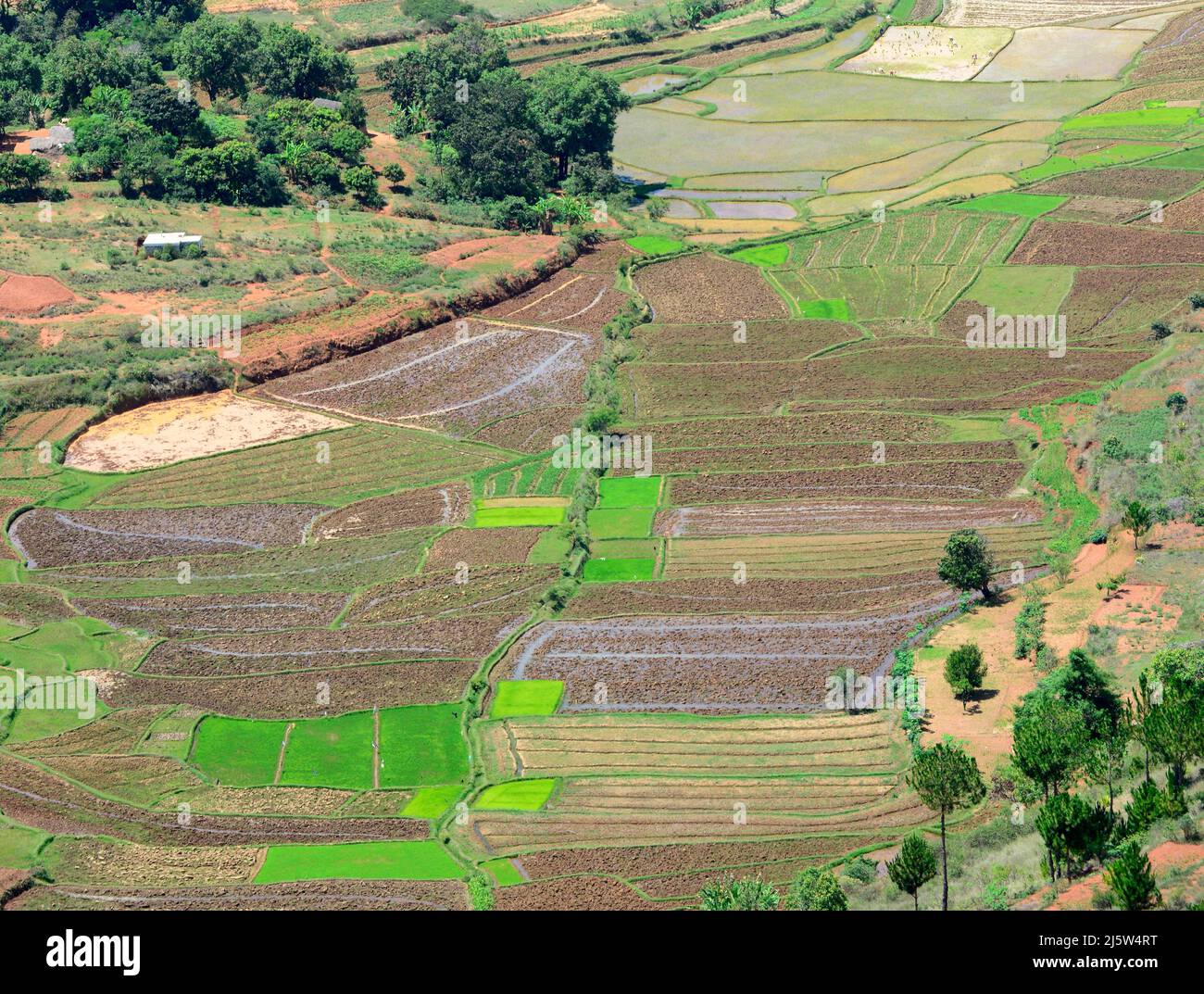 Paesaggi agricoli intorno alla collina di Ambohimanga nella periferia di Antananarivo, Magagascar. Foto Stock