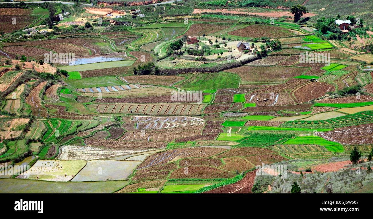 Paesaggi agricoli intorno alla collina di Ambohimanga nella periferia di Antananarivo, Magagascar. Foto Stock