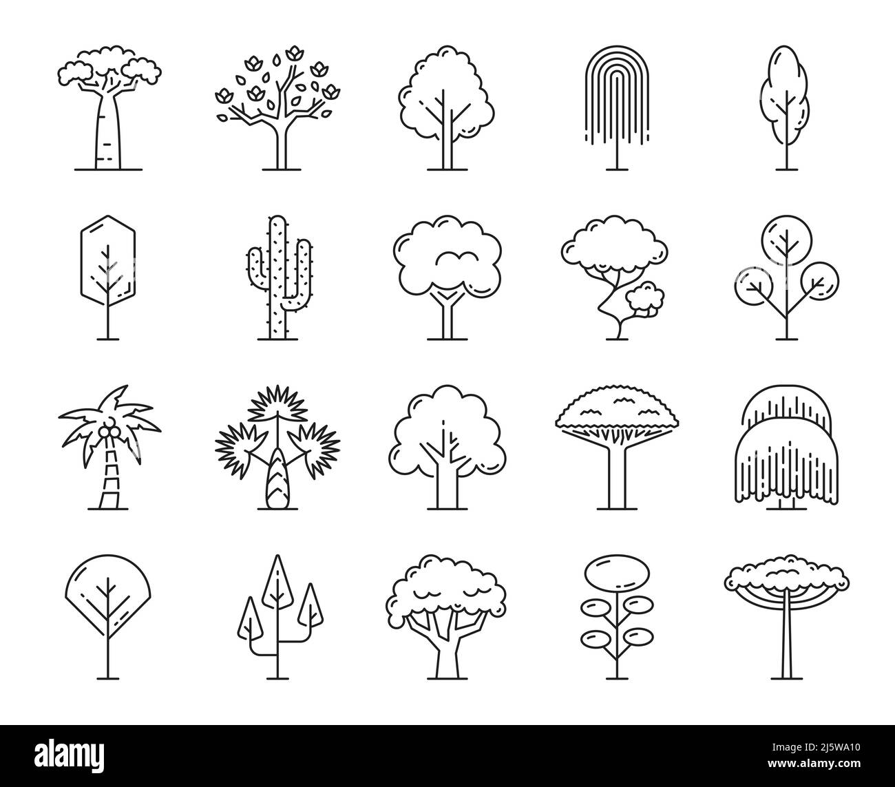 Alberi tropicali, icone di contorno di spiaggia isolata, foresta giungla e alberi di parco, simboli vettoriali di linea sottile. Piante di palma, baobab e cactus, acero, quercia e betulla con foglie Illustrazione Vettoriale