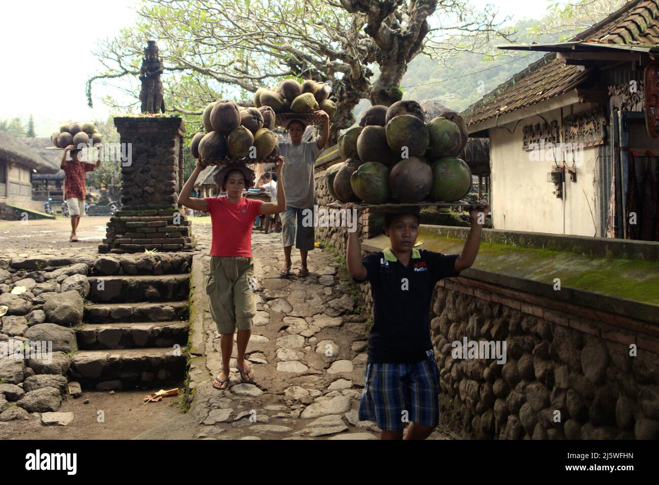 Le donne che trasportano noci di cocco sulla loro testa mentre stanno entrando nel villaggio tradizionale di Tenganan Pegringsingan in Karangasem, Bali, Indonesia. Foto Stock