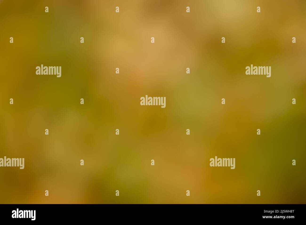 Le foglie di autunno gialle e rosse fanno un bel sfondo verde come una foto sfocata da utilizzare come modello per un messaggio Foto Stock