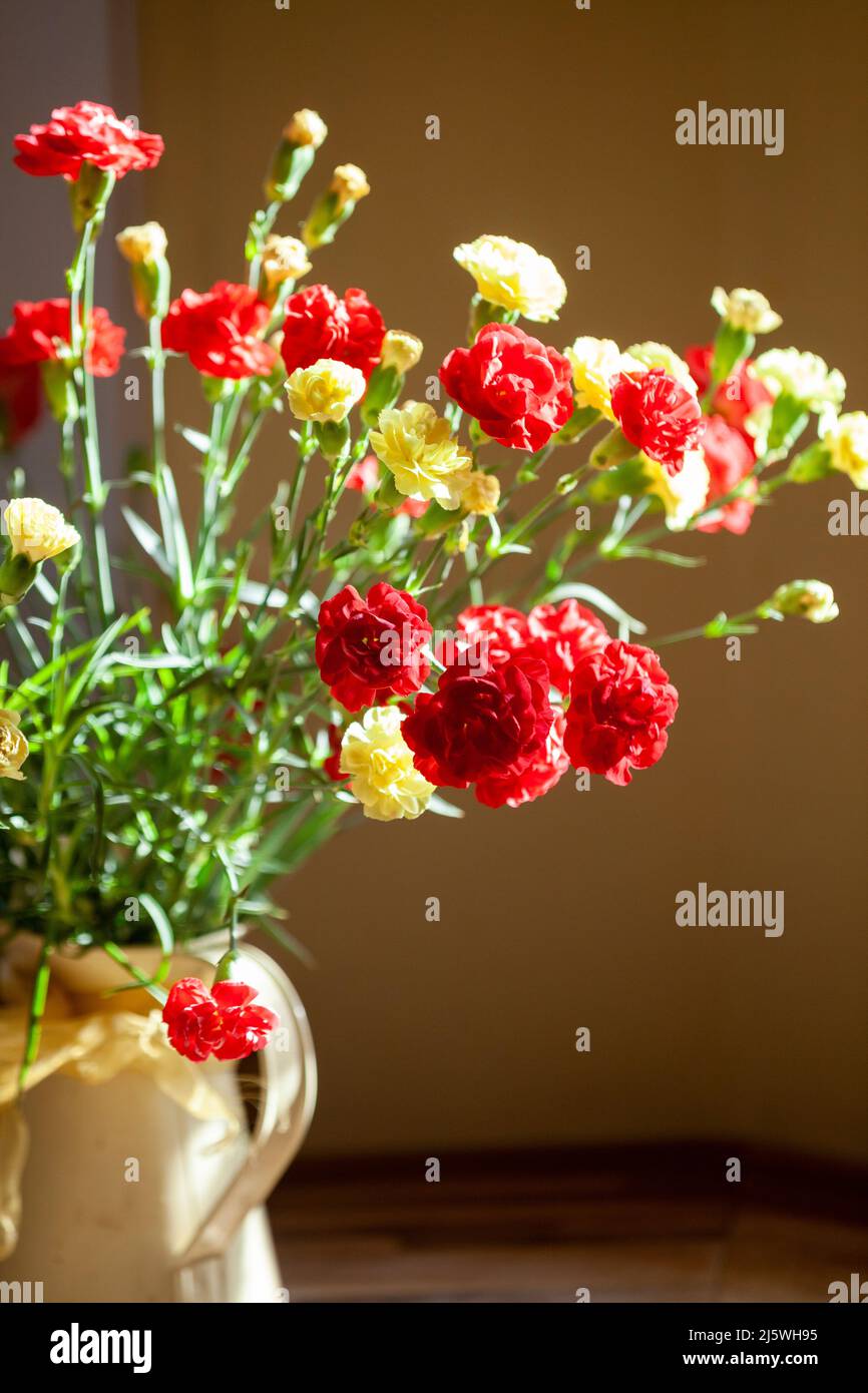 Garofani rossi e gialli all'interno vicino a una finestra Foto Stock