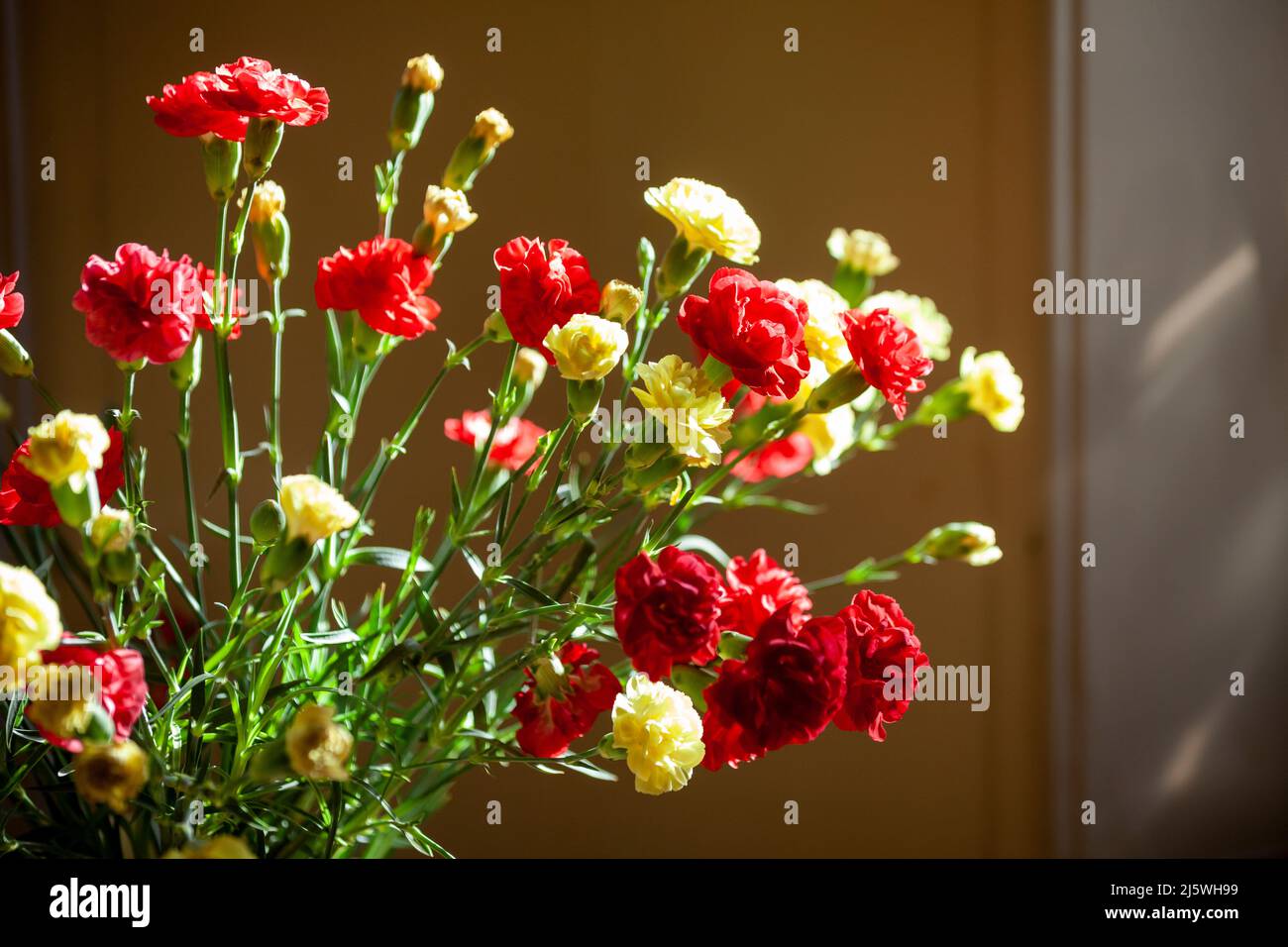 Garofani rossi e gialli all'interno vicino a una finestra Foto Stock