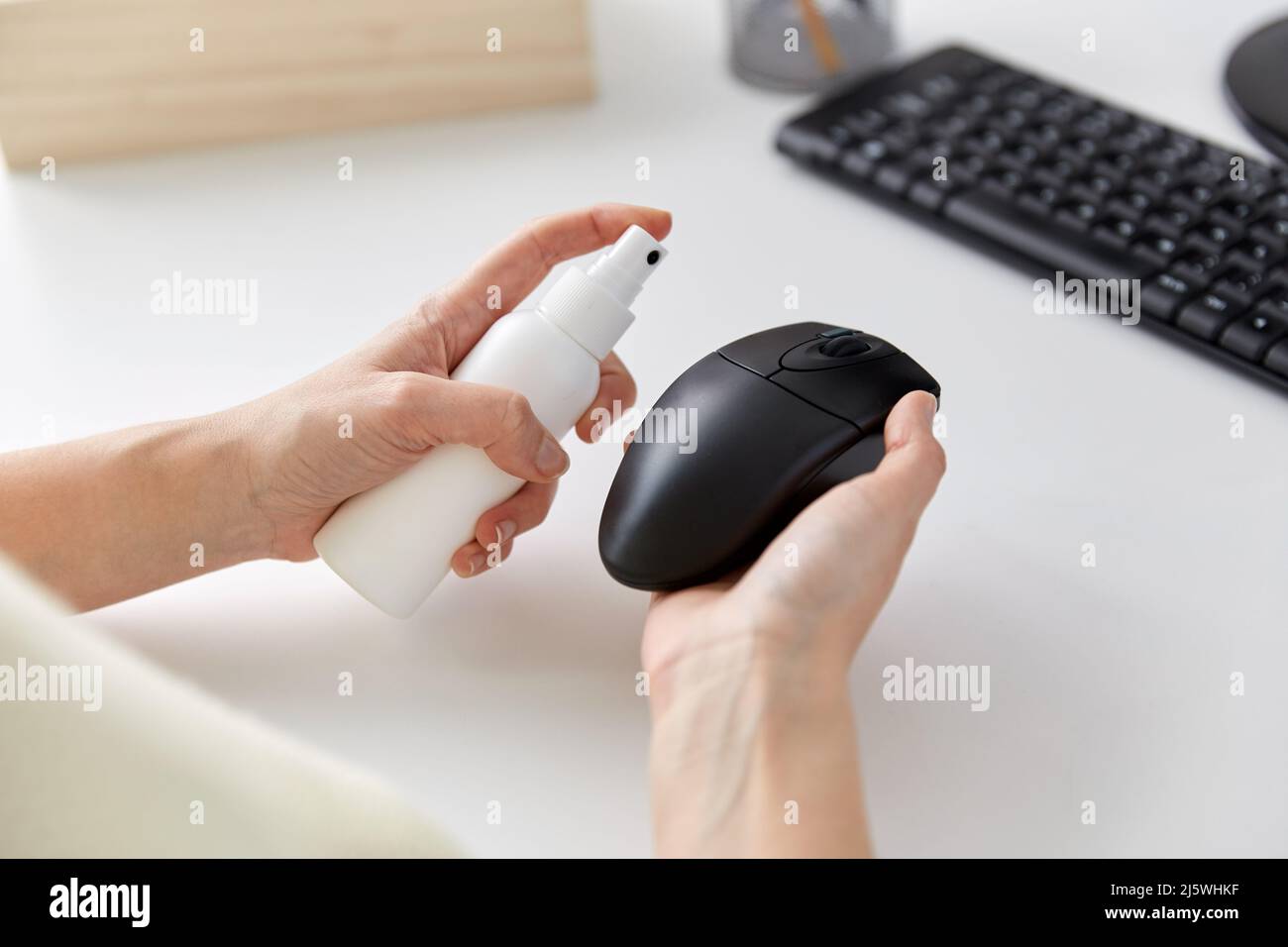 primo piano di donna che pulisce il mouse del computer Foto Stock
