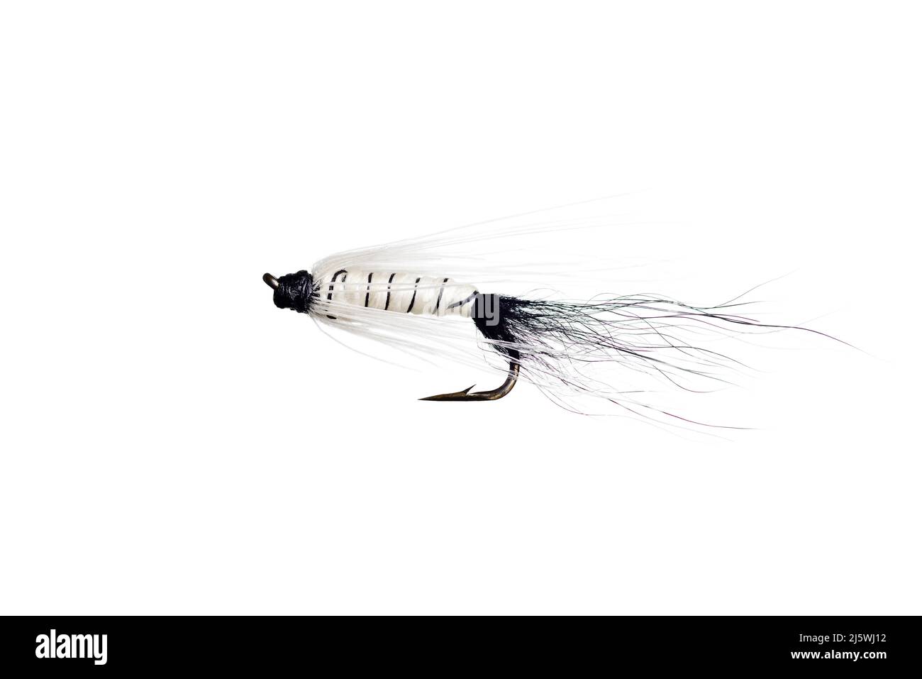 Pesca Fly isolato contro uno sfondo bianco Foto Stock