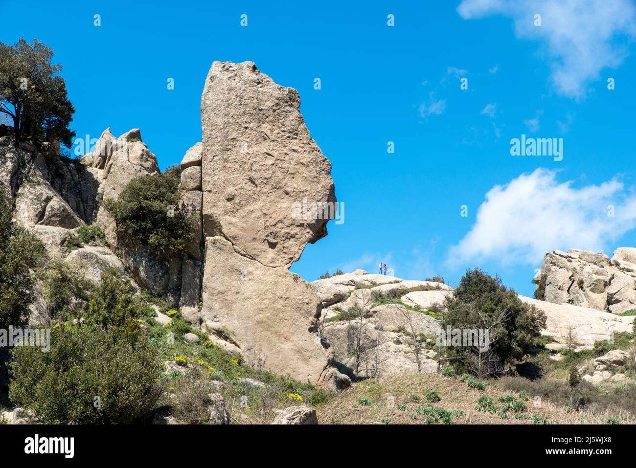 guerriero - Altipiano dell'Argimusco, sito archeologico e naturalistico siciliano, rocce antiche miliari di anni, forme particolari, archeoastronomia Foto Stock