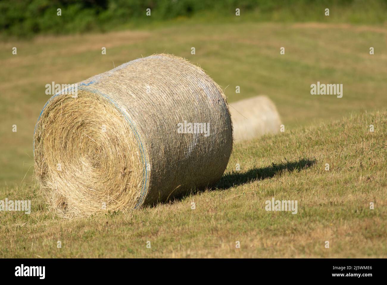 une meule de foin dans les champs Foto Stock