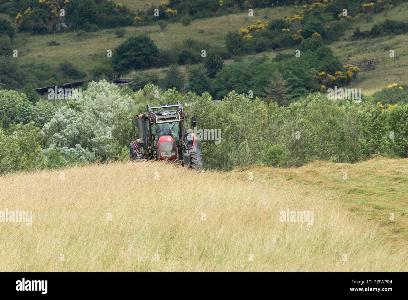 Un tracteur dans les champs pendant la période des foins Foto Stock
