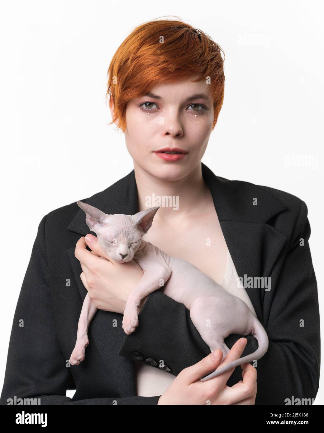 Giovane donna Bossy vestita in giacca nera che tiene le mani dormendo Sphynx kitten blu mink e bianco colore. Bella donna rossa con capelli corti Foto Stock