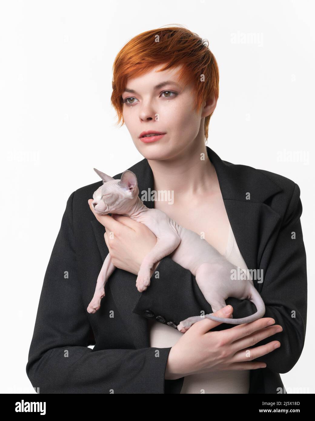 Giovane donna con capelli corti che tengono in mano dorme Sphynx senza capelli Cat blu mink e bianco colore. Bella donna rossa vestita in giacca nera Foto Stock