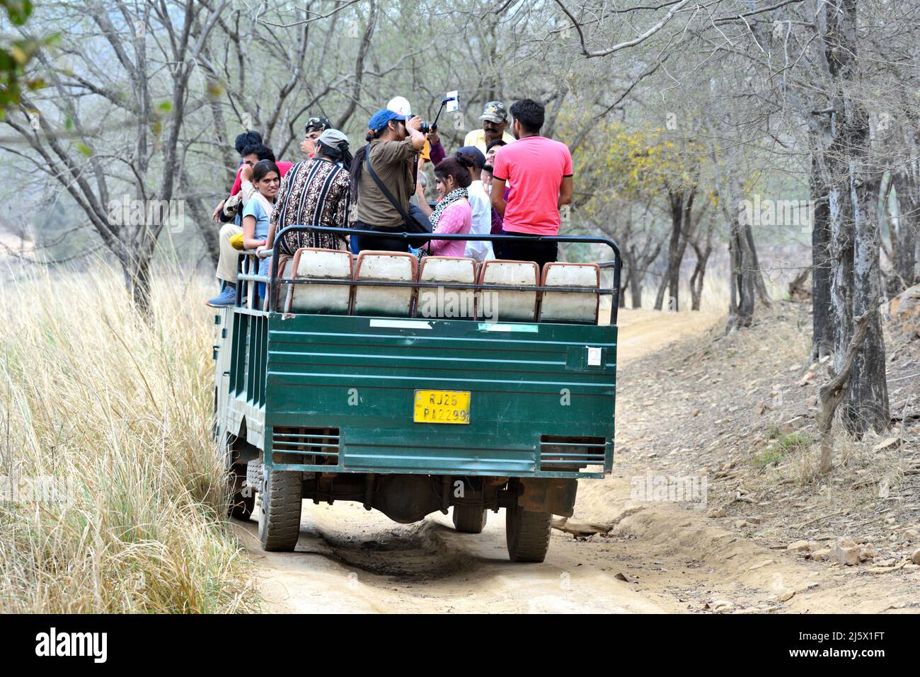 Tigre bengala ottenere fotografato dalla gente in una foto di scorta della jeep Foto Stock