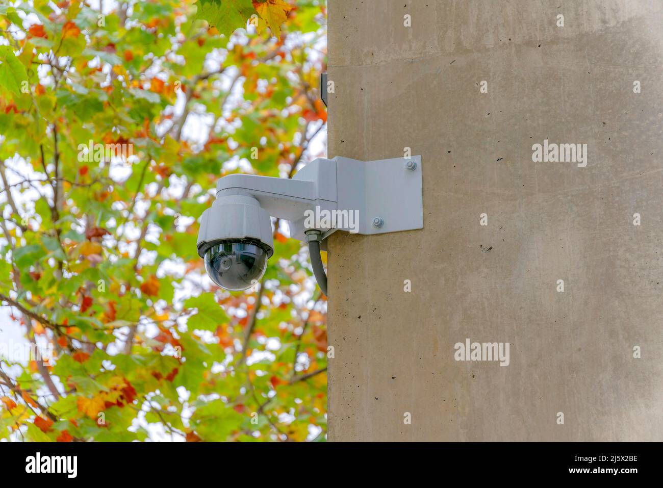 Telecamera di sicurezza esterna a 360 gradi montata a parete a Silicon Valley, San Jose, California Foto Stock