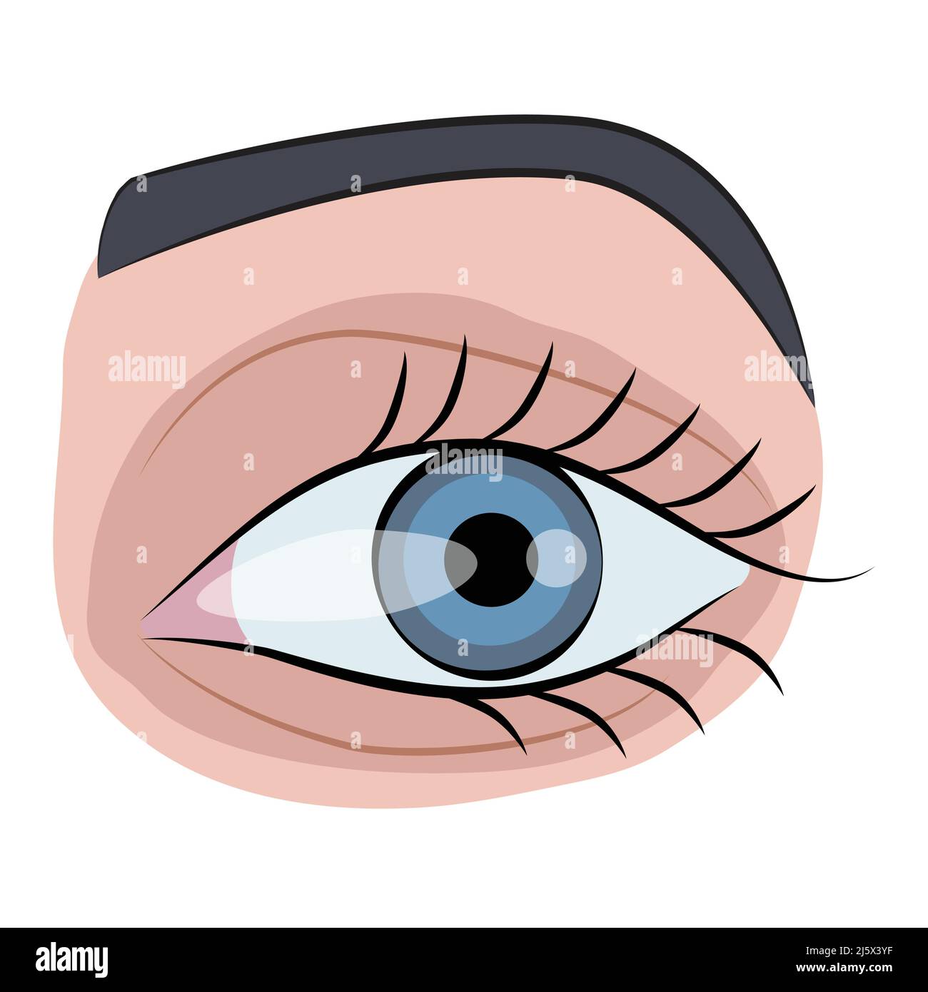 vettore art clip oculari. Illustrazione del logo Illustrazione Vettoriale