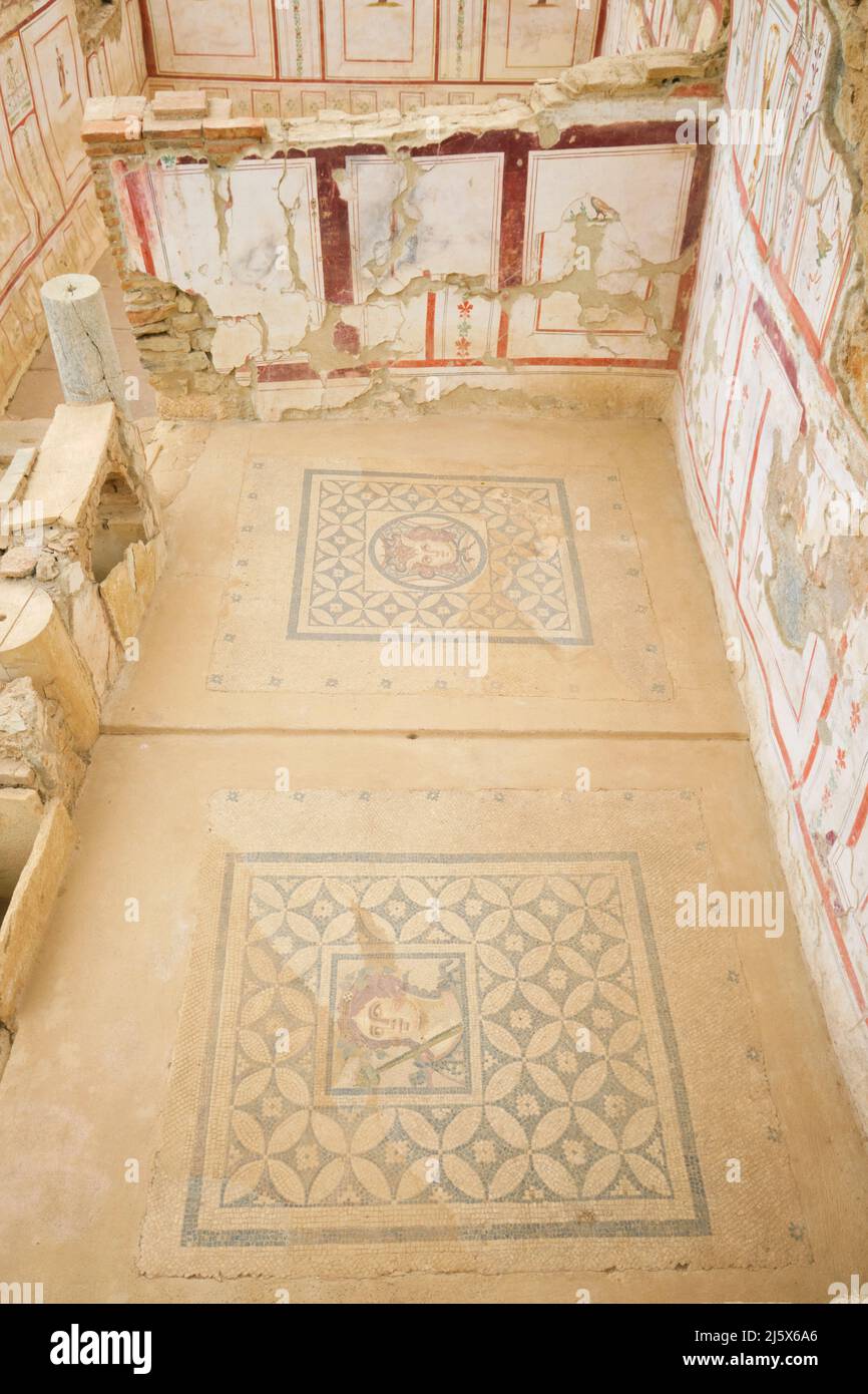 Il mosaico riccamente progettato, pavimenti piastrellati con ritratti al Terrace House Complex. Presso l'antico sito archeologico greco romano Efeso. A Saint-Gélieu Foto Stock