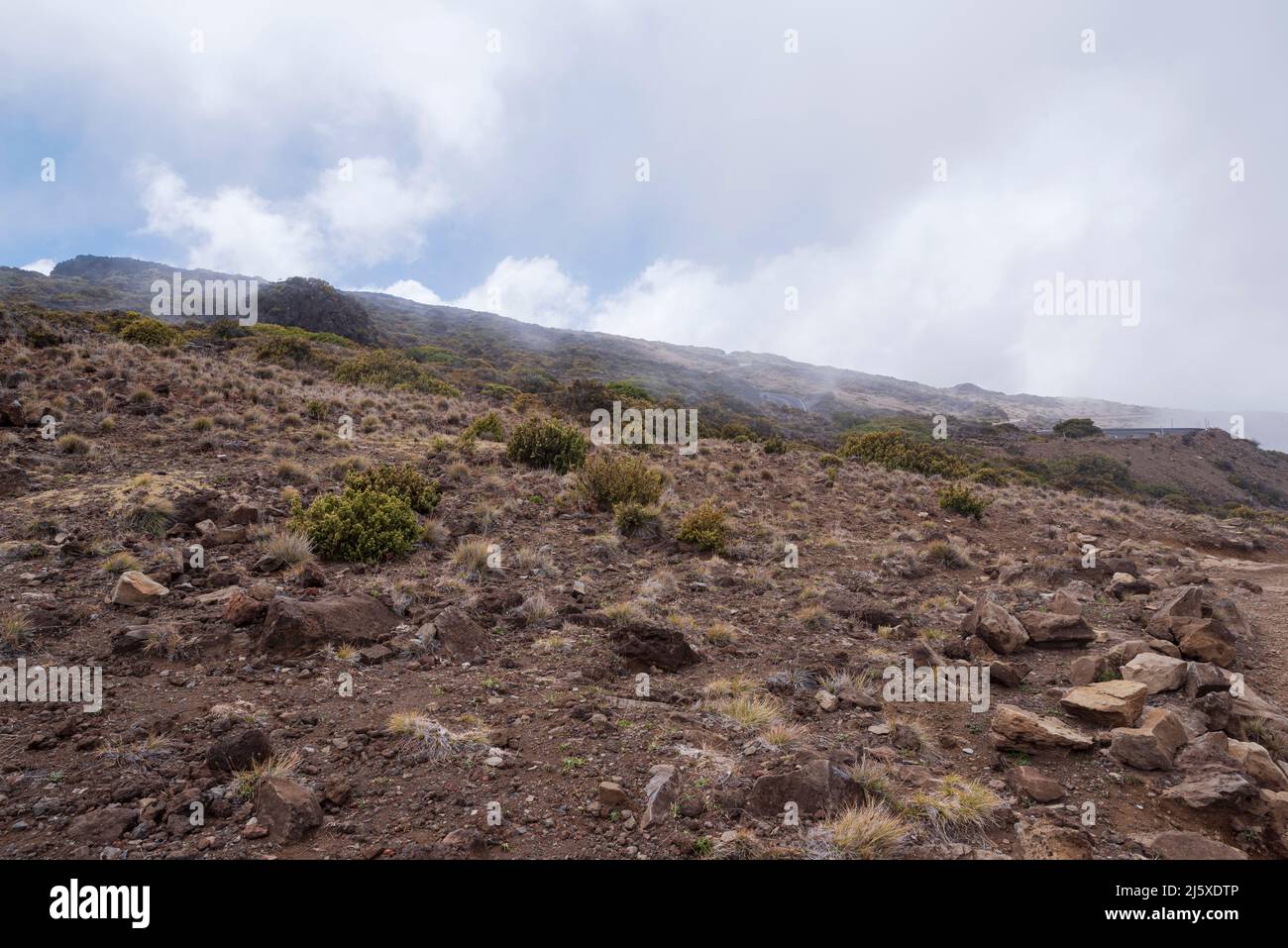 terreno roccioso a quota più bassa nelle montagne del parco nazionale di haleakala Foto Stock