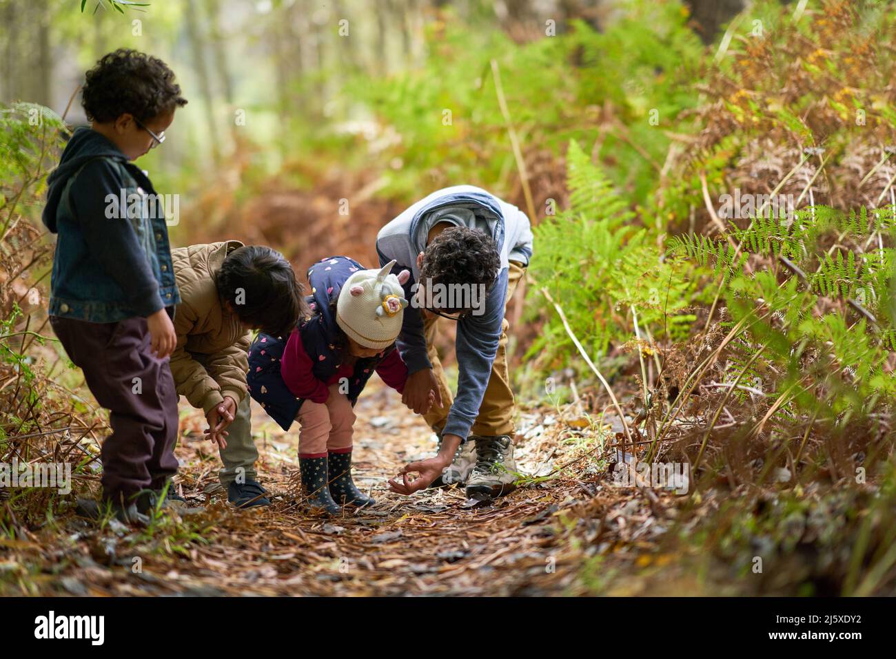 Fratelli e sorelle curiosi che guardano giù sul sentiero in boschi Foto Stock