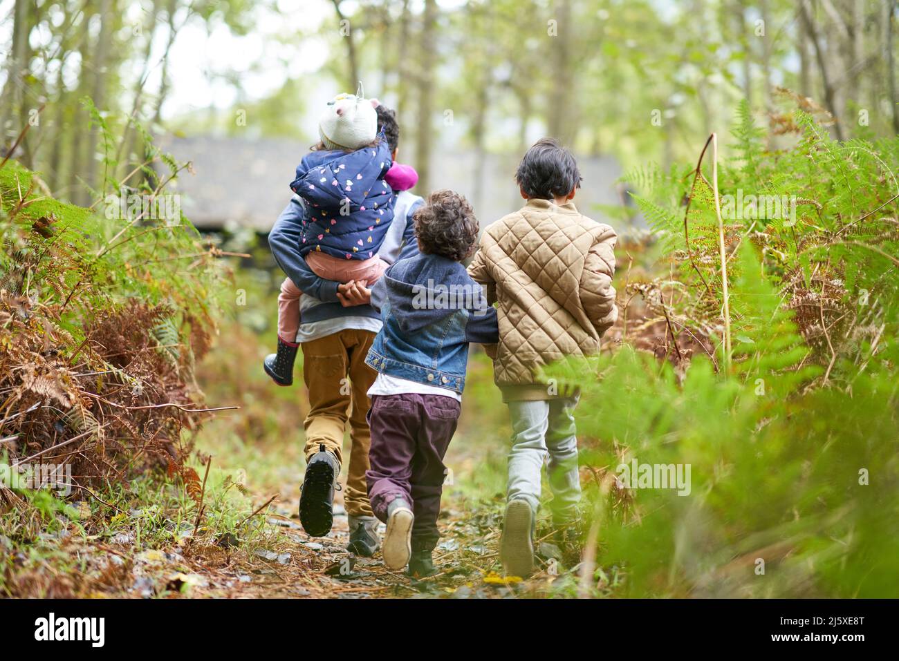 Fratelli e sorelle che camminano sul sentiero in boschi Foto Stock
