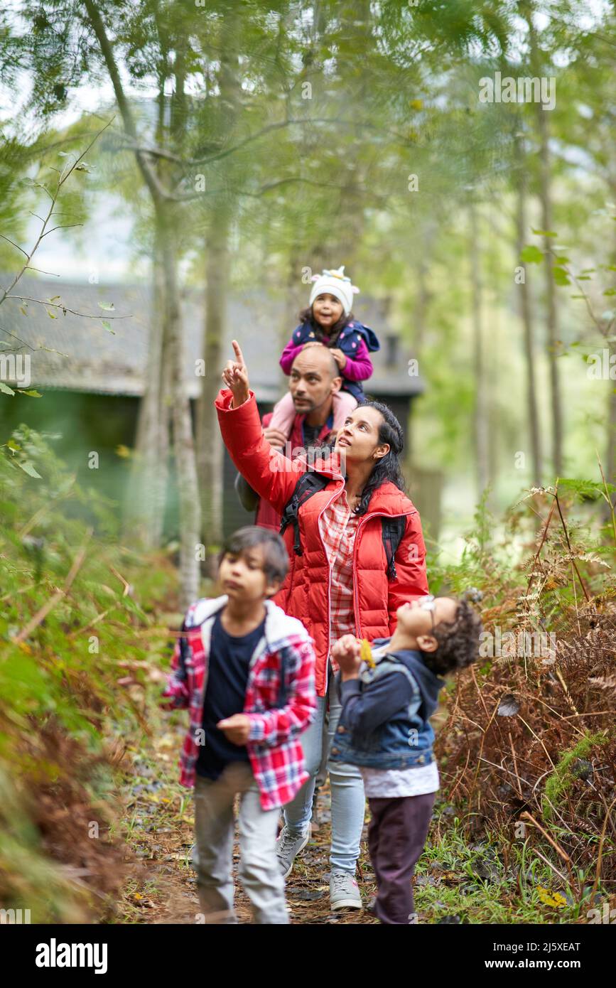 Famiglia escursioni nei boschi Foto Stock