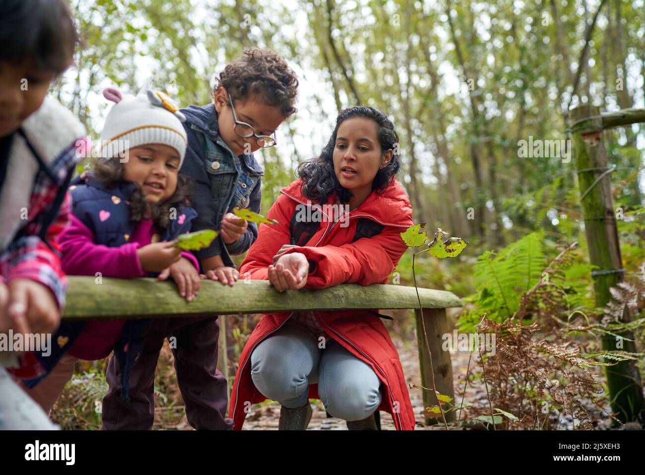 La famiglia guarda le foglie in escursione nei boschi Foto Stock