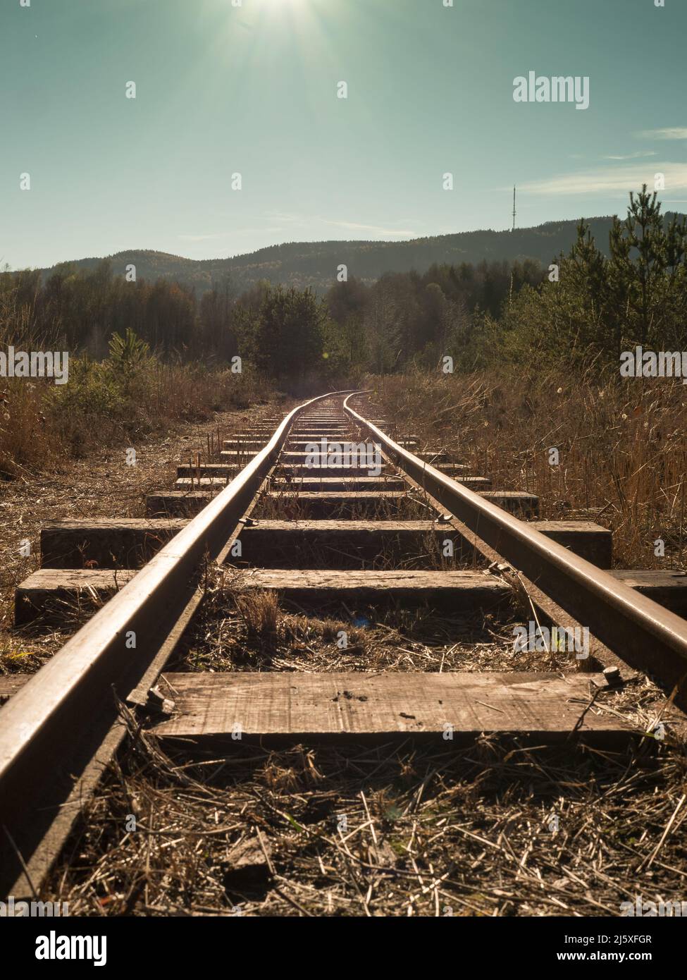 vecchie ferrovie vintage in paesaggio di brughiera Foto Stock