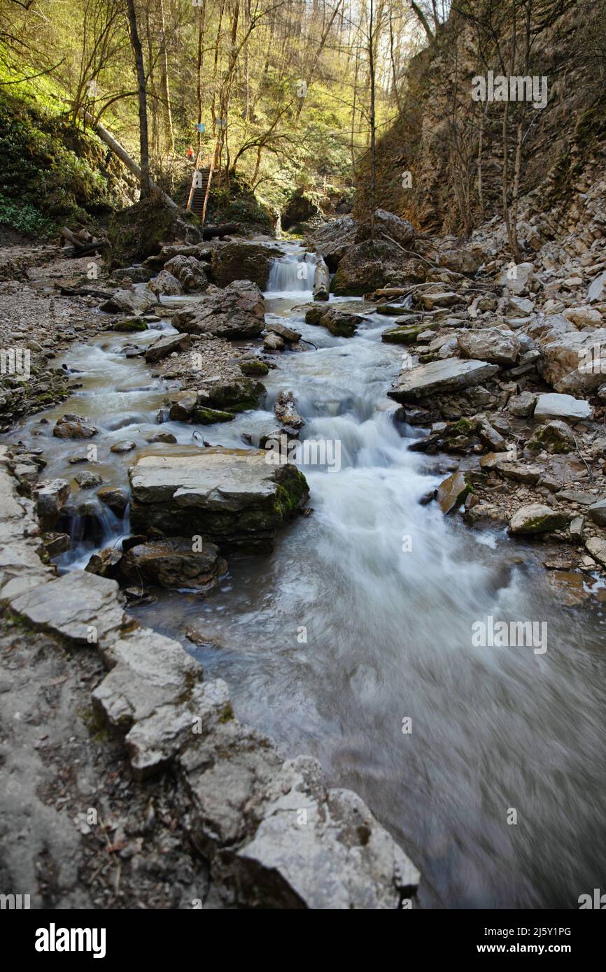 Cascata in una foresta Foto Stock