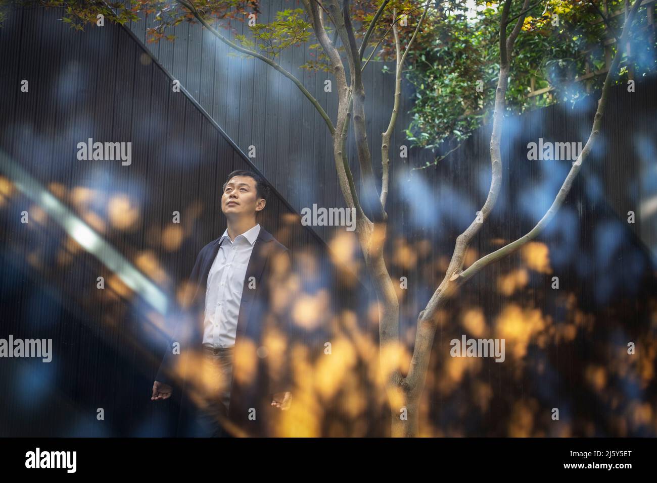 Uomo sereno che guarda in cortile con alberi e riflessi Foto Stock