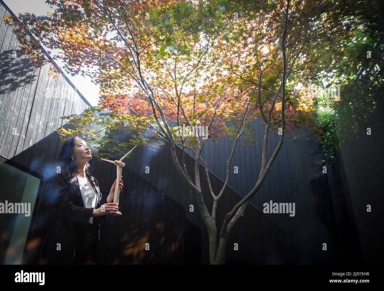 Ingegnere femminile con turbina eolica modello in cortile con albero Foto Stock