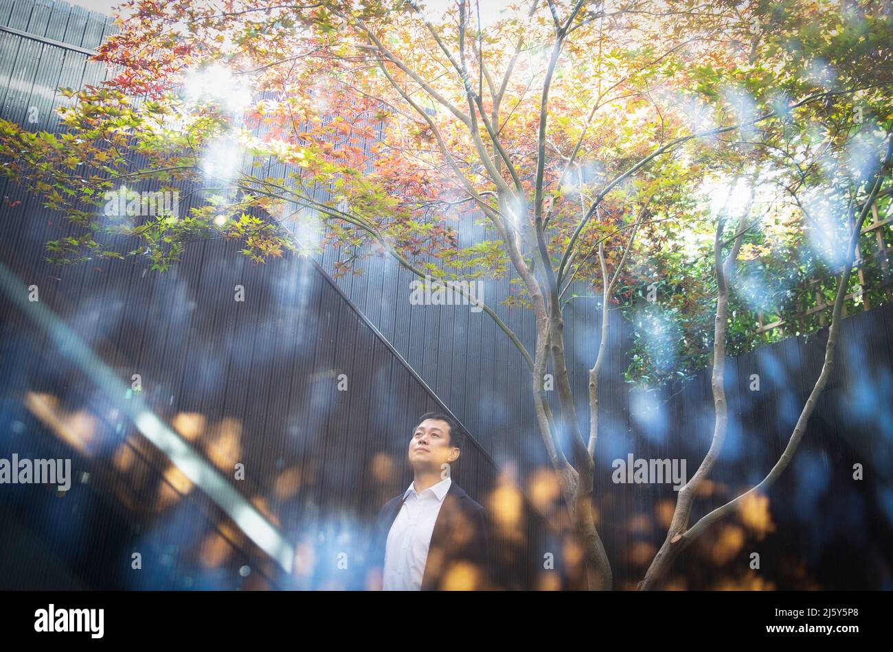Uomo sereno che guarda in su in cortile soleggiato con albero Foto Stock