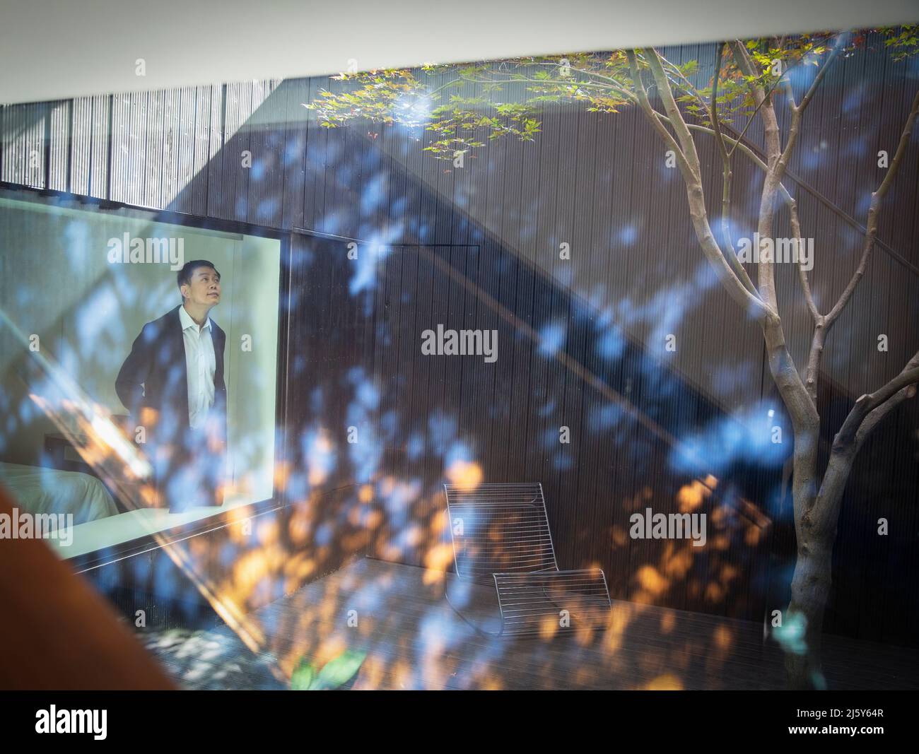 Uomo che guarda fuori la finestra della camera da letto in un cortile soleggiato con albero Foto Stock