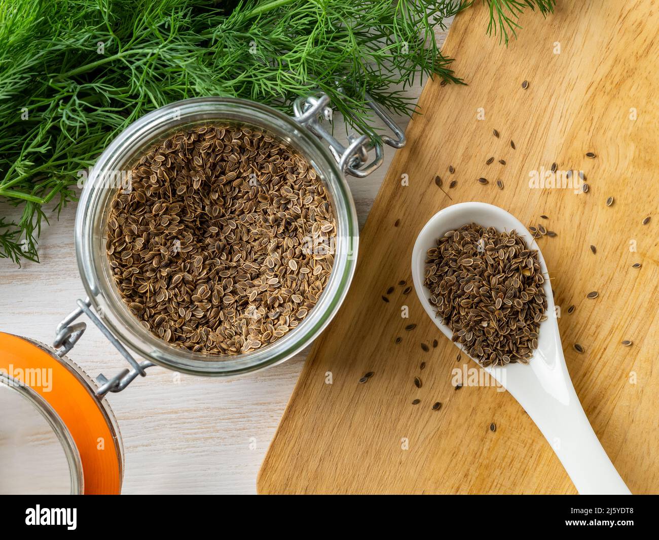 Semi di aneto organico in un vaso di vetro e cucchiaio bianco sul tavolo da cucina. Cucina con spezie naturali, condimenti e condimenti. Anetum graveolens semi Foto Stock