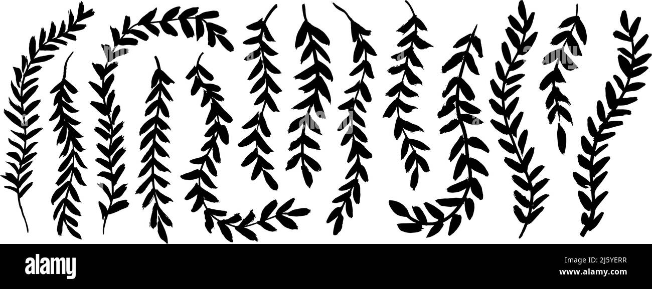 Silhouette in avy nero. Foglie su rami pendenti. Illustrazione Vettoriale