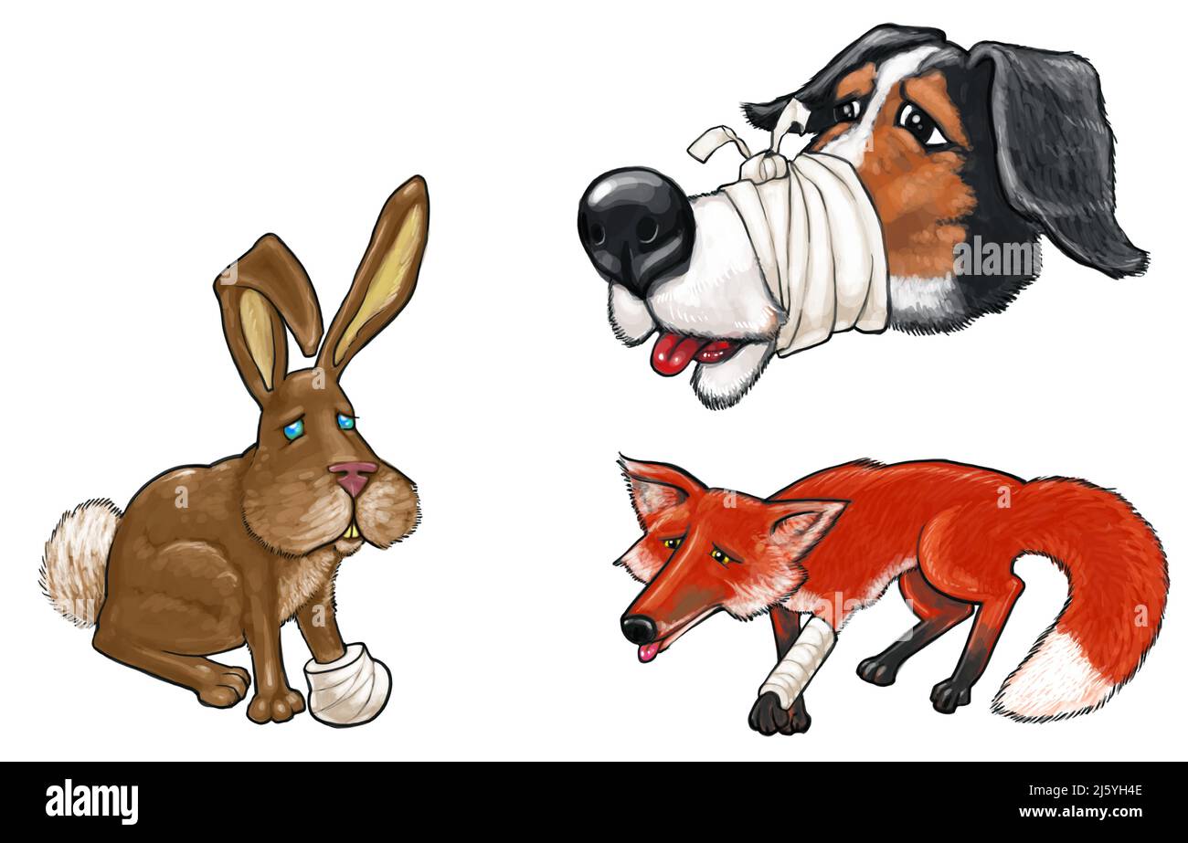 Illustrazione cartoon di animali feriti, volpe e coniglio con gamba bandaged, cane con mandibola, ospedale animale, ospedale veterinario, animali malati Foto Stock